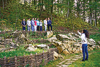 Dečiji kamp folklora, Trsić
